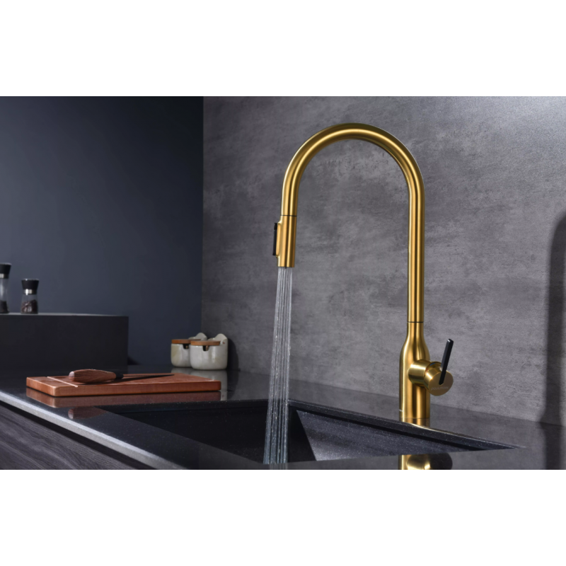 Смеситель Paulmark UNIVERSAL Metallum с подключением к фильтру для воды, с вытяжным шлангом, Брашированное золото