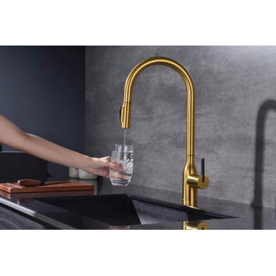 Смеситель Paulmark UNIVERSAL Metallum с подключением к фильтру для воды, с вытяжным шлангом, Брашированное золото