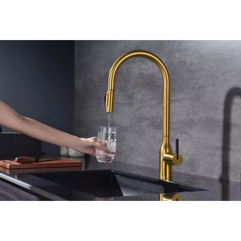 Смеситель Paulmark UNIVERSAL Metallum с подключением к фильтру для воды, с вытяжным шлангом, Брашированное золото