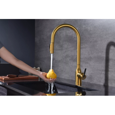 Смеситель Paulmark UNIVERSAL Metallum с подключением к фильтру для воды, с вытяжным шлангом, Брашированное золото