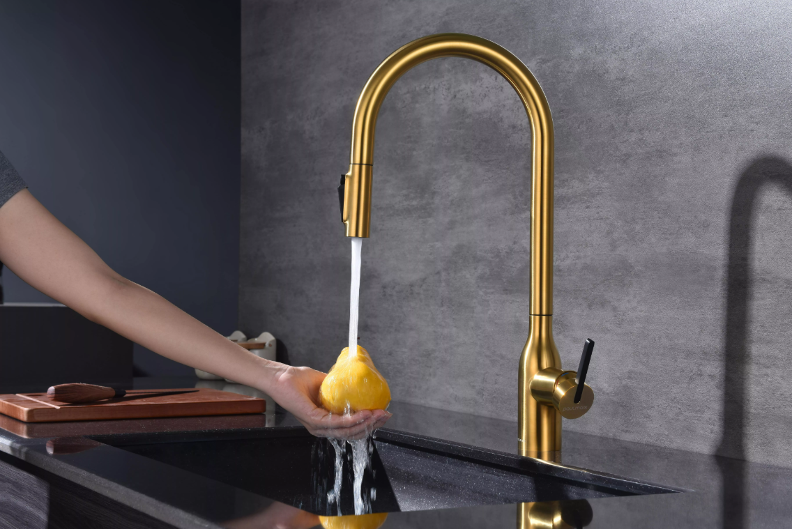 Смеситель Paulmark UNIVERSAL Metallum с подключением к фильтру для воды, с вытяжным шлангом, Брашированное золото