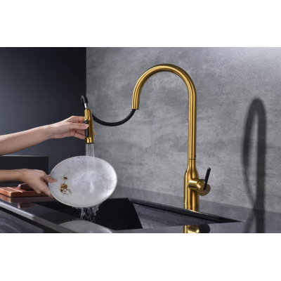 Смеситель Paulmark UNIVERSAL Metallum с подключением к фильтру для воды, с вытяжным шлангом, Брашированное золото
