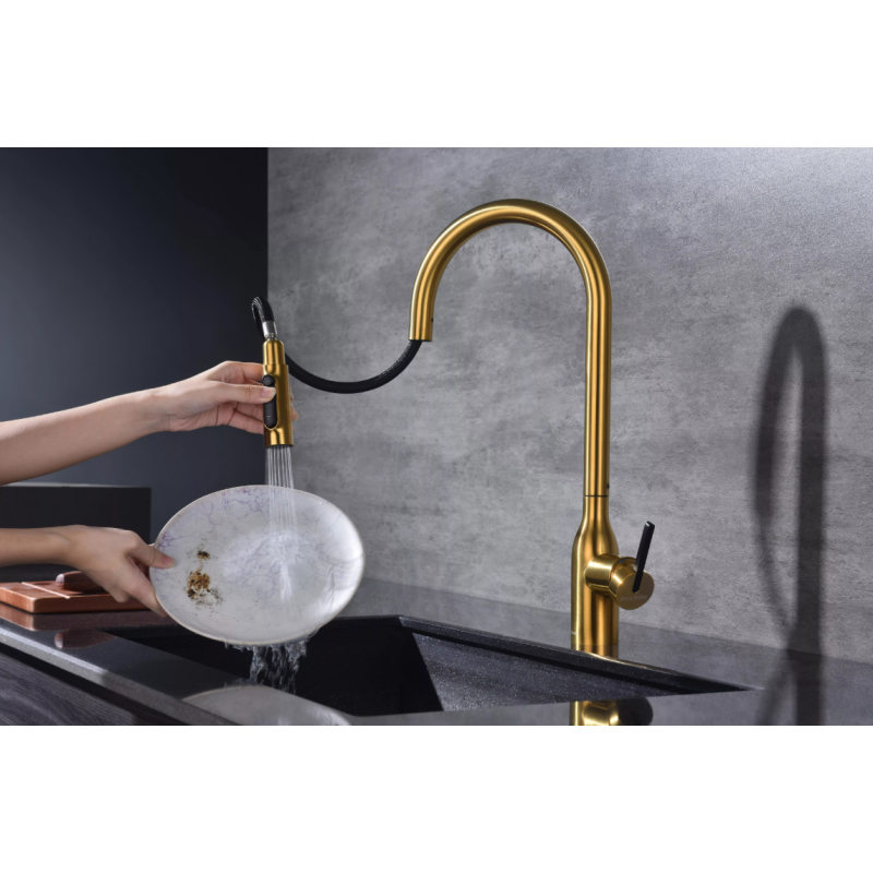 Смеситель Paulmark UNIVERSAL Metallum с подключением к фильтру для воды, с вытяжным шлангом, Брашированное золото