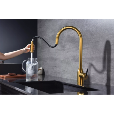 Смеситель Paulmark UNIVERSAL Metallum с подключением к фильтру для воды, с вытяжным шлангом, Брашированное золото