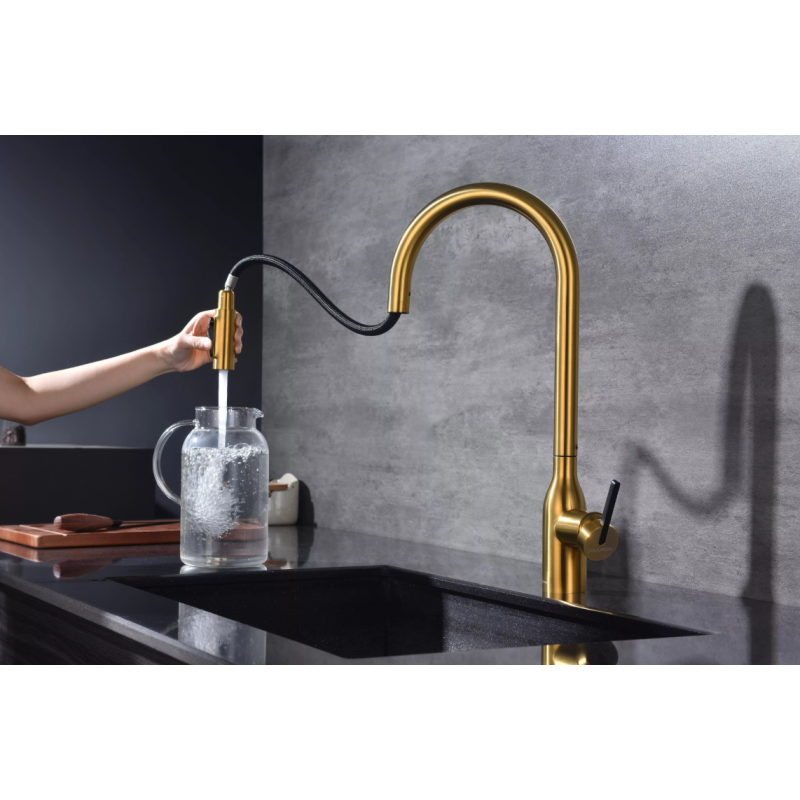Смеситель Paulmark UNIVERSAL Metallum с подключением к фильтру для воды, с вытяжным шлангом, Брашированное золото
