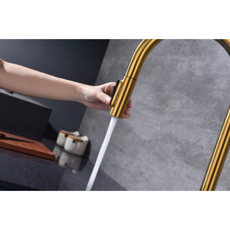 Смеситель Paulmark UNIVERSAL Metallum с подключением к фильтру для воды, с вытяжным шлангом, Брашированное золото