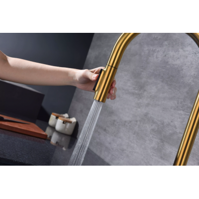 Смеситель Paulmark UNIVERSAL Metallum с подключением к фильтру для воды, с вытяжным шлангом, Брашированное золото