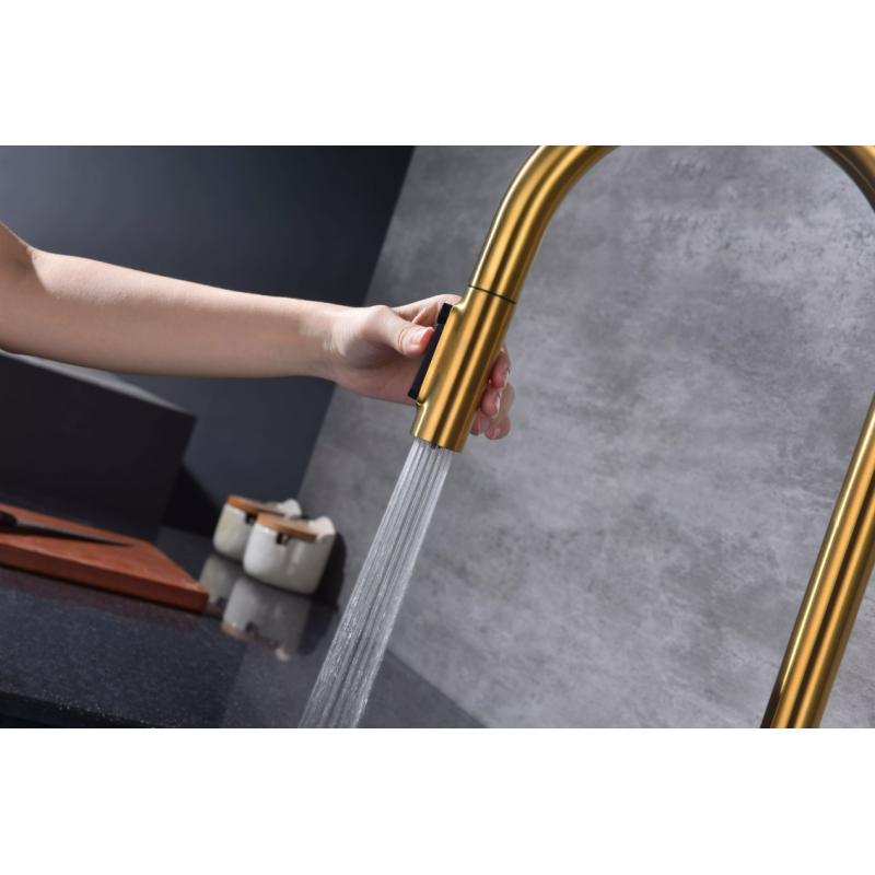 Смеситель Paulmark UNIVERSAL Metallum с подключением к фильтру для воды, с вытяжным шлангом, Брашированное золото