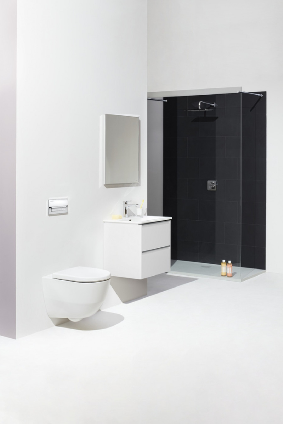 Сиденье с крышкой LAUFEN Pro Universal микролифт, быстрое снятие