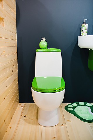 Унитаз-компакт Sanita Luxe Best Green быстросъемное сиденье дюропласт soft close
