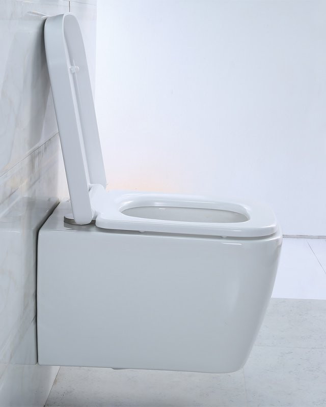 Чаша подвесного  безободкового унитаза, VENETO, Belbagno, BB132CHR