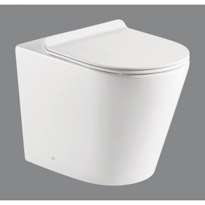 Чаша приставного безободкового унитаза, FLAY-R, Belbagno, BB1003CBR