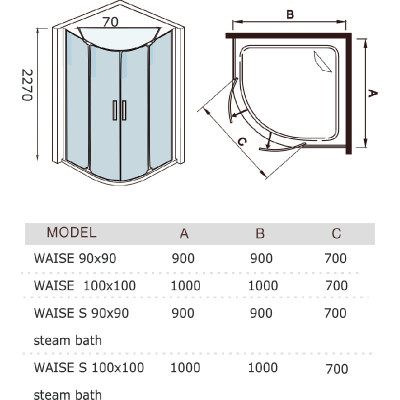 Душевая кабина 100х100х220см, Welt Wasser, WW WAISE 100/100