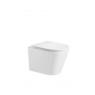 Подвесной безободковый унитаз, Welt Wasser, WW SALZBACH 004GL-WT
