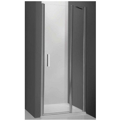 Душевая дверь в нишу Tower Line TDN1/100, 100см, профиль хром, Roltechnik