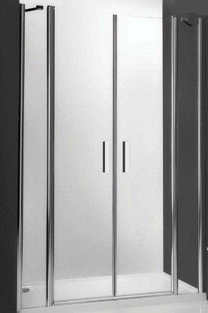 Душевая дверь в нишу или комбинации Tower Line TDN2/1100, 110см, профиль хром, Roltechnik