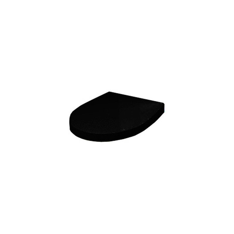 Крышка для чаши Roca Victoria Nord Soft Close Black Edition ZRU9302627 петли хром