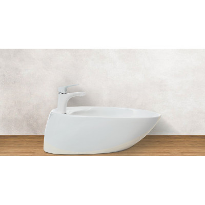 Накладная раковина 59х38х19см Welt Wasser WW SK ELBACH 1037