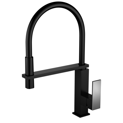 Смеситель для кухни с гибким изливом чёрный Ganzer Rein GZ 16037C