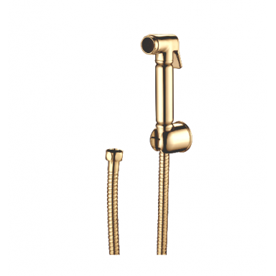 Комплект для биде золото Ganzer GZ 2111E set