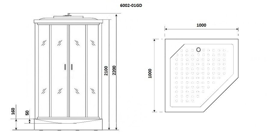 Душевая кабина 100x100х220см Niagara NG-6002-01GD