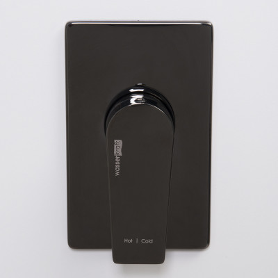 Смеситель для душа чёрный WasserKRAFT Glan 6651